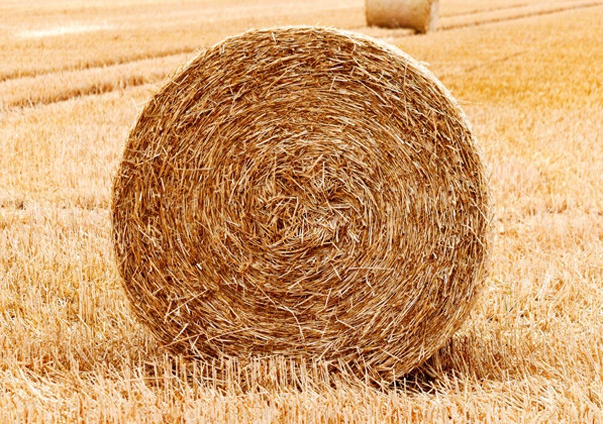 Heuballen auf einer Weide